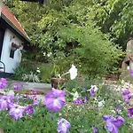 Kismadár *