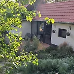 Kismadár *