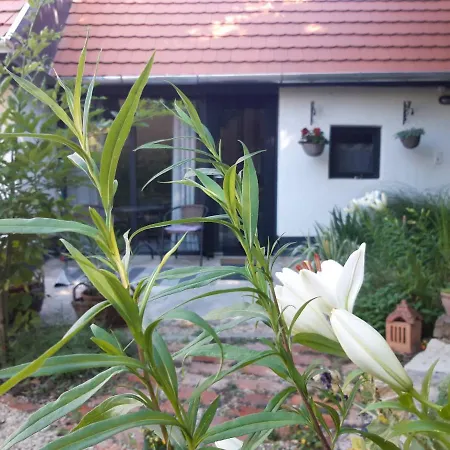 Apartment Kismadar Vendeghaz