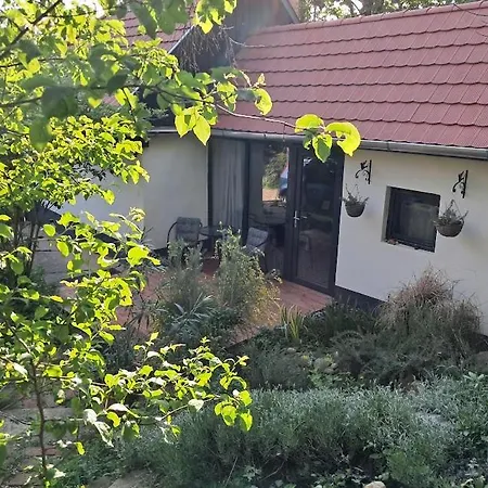 Kismadár *