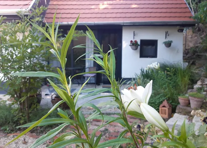 Appartement Kismadar Vendeghaz